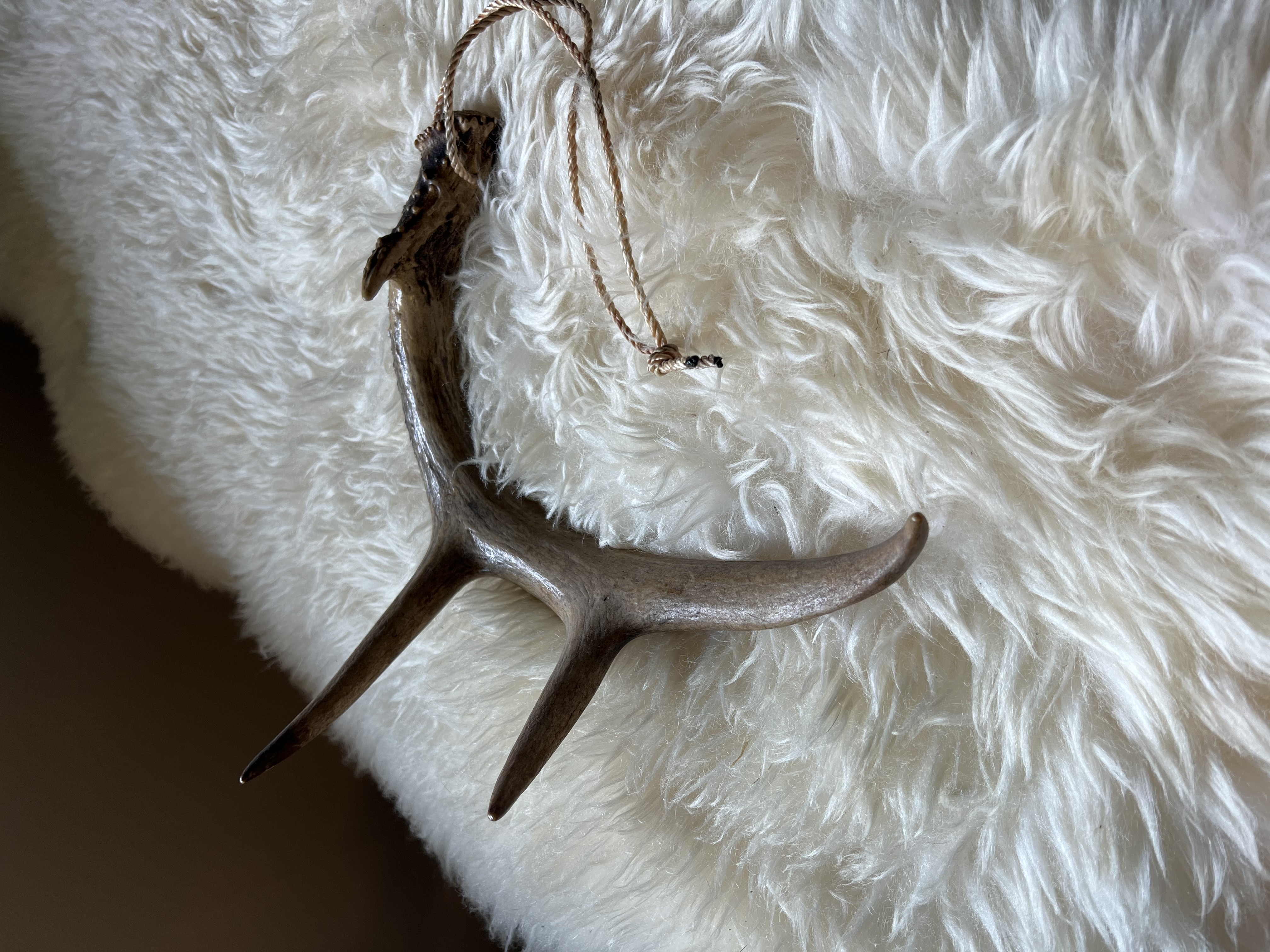 Antler